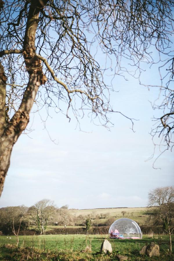 Cybi At Llanfair Hall Holiday home *